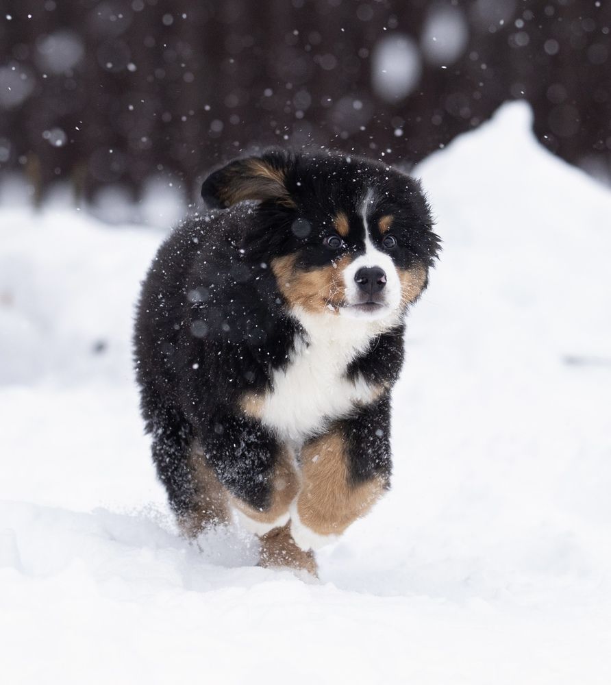 Photograph by Olga Varlamova