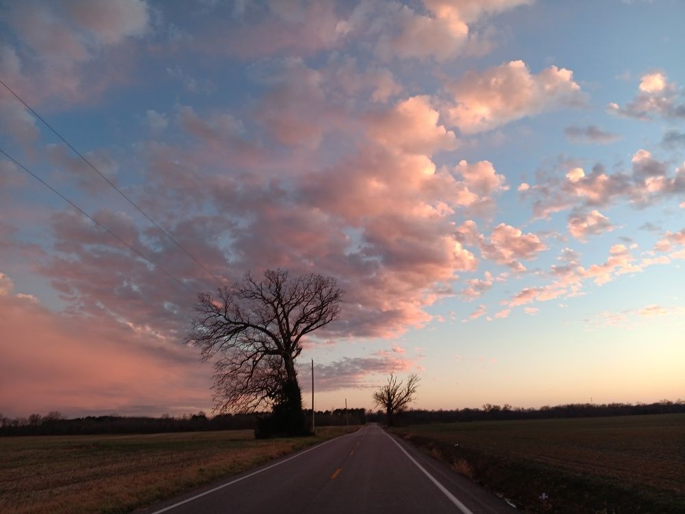 Photograph by Melissa Suggs Suggs