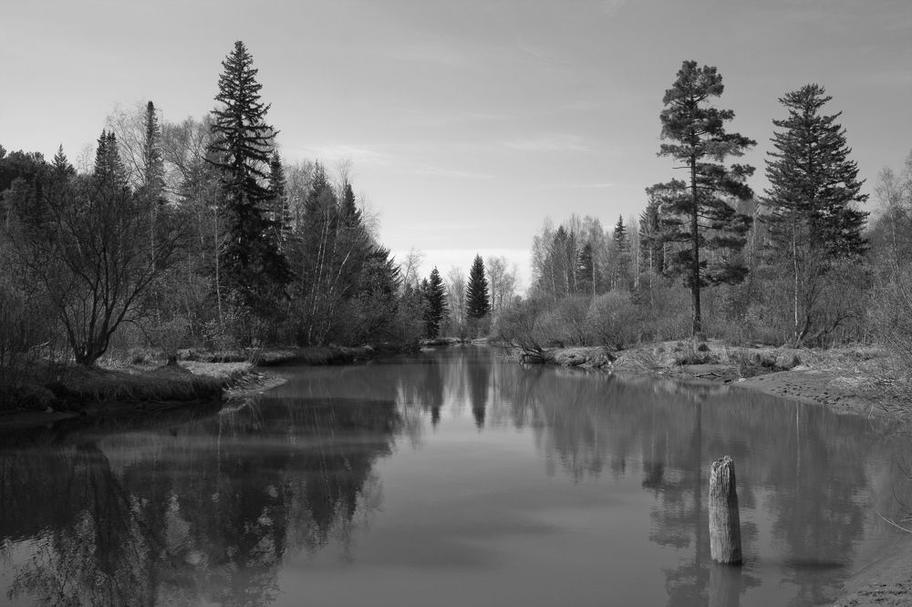 Photograph by Панюшкин Андрей