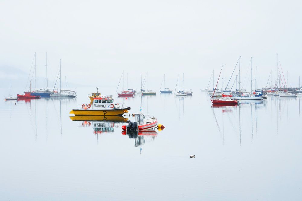 Photograph by Anna Perevozchikova