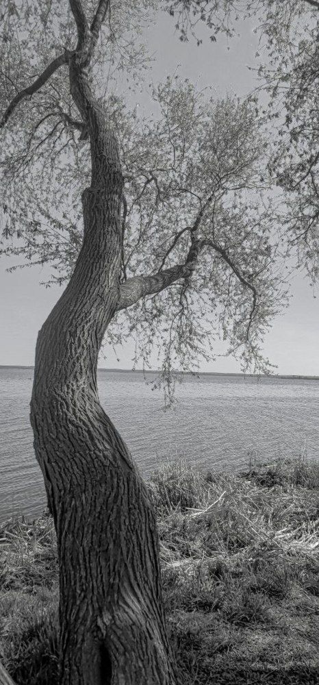 Photograph by Елена Бородулина