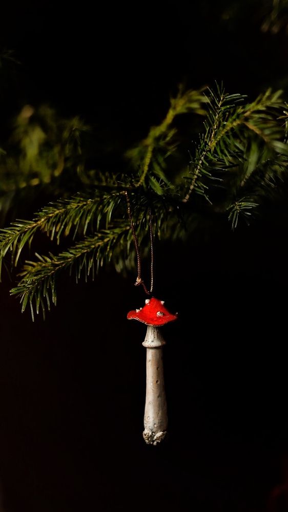 Photograph by Inna Belinskaya