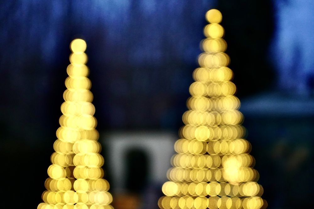 Фотография автора Liudmila Kiermeier