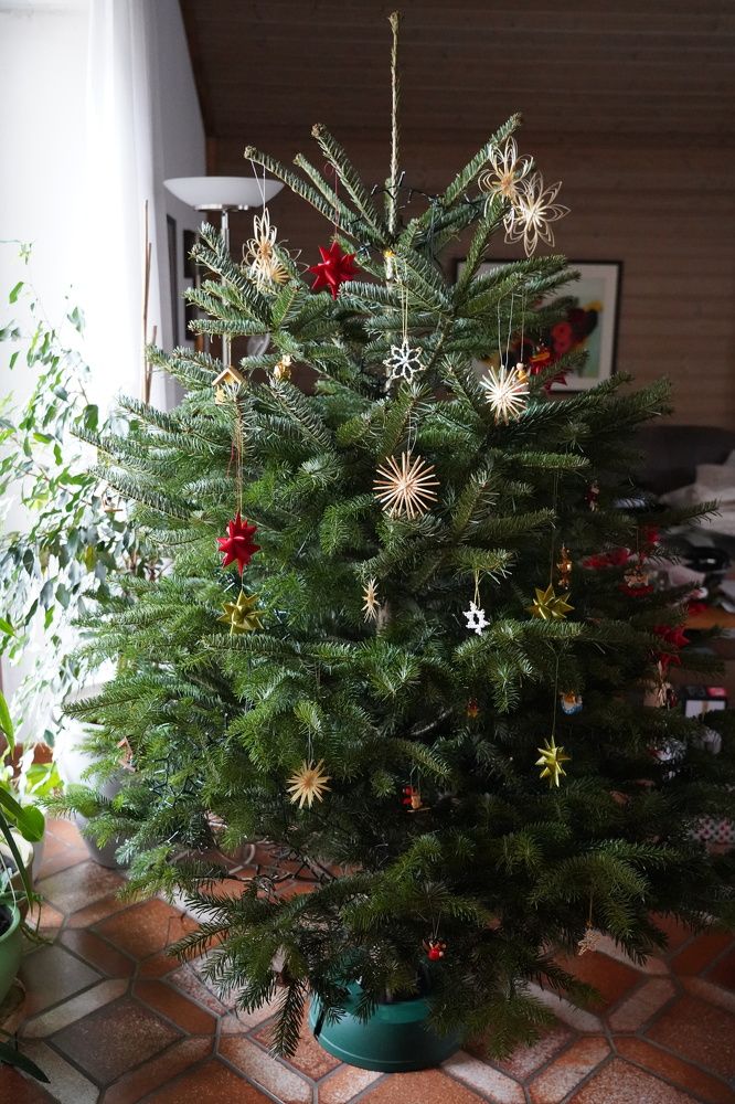 Фотография автора Liudmila Kiermeier