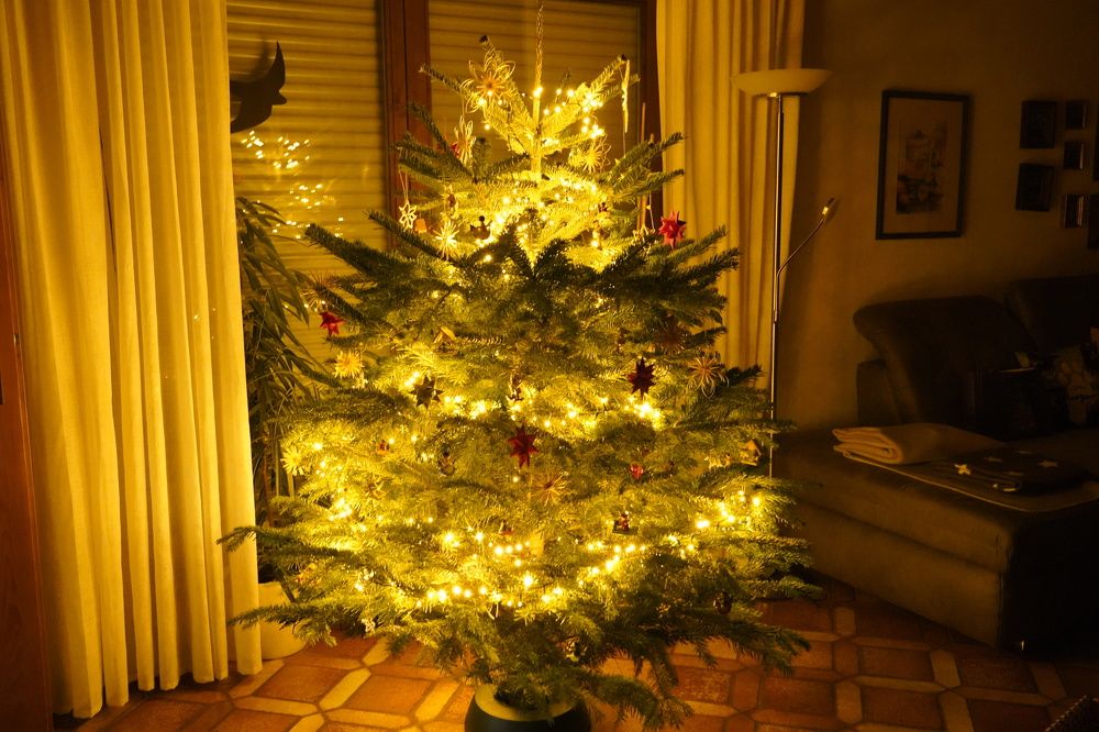 Фотография автора Liudmila Kiermeier