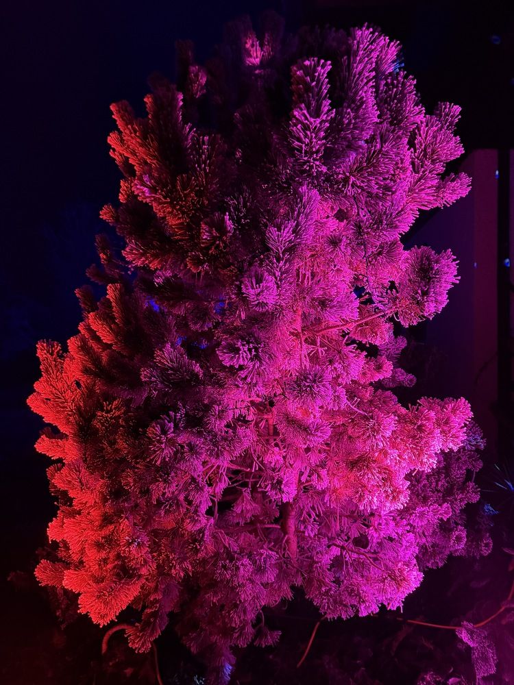 Фотография автора Liudmila Kiermeier