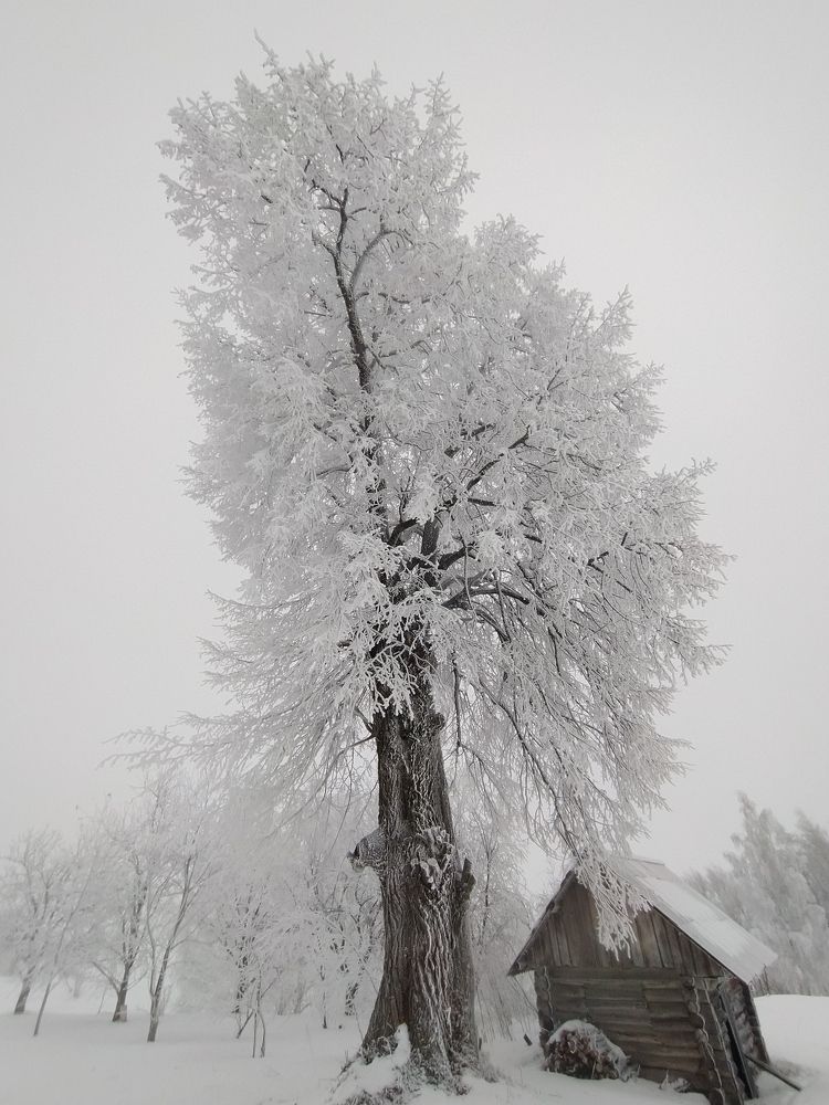 Photograph by Юрий Гордеев