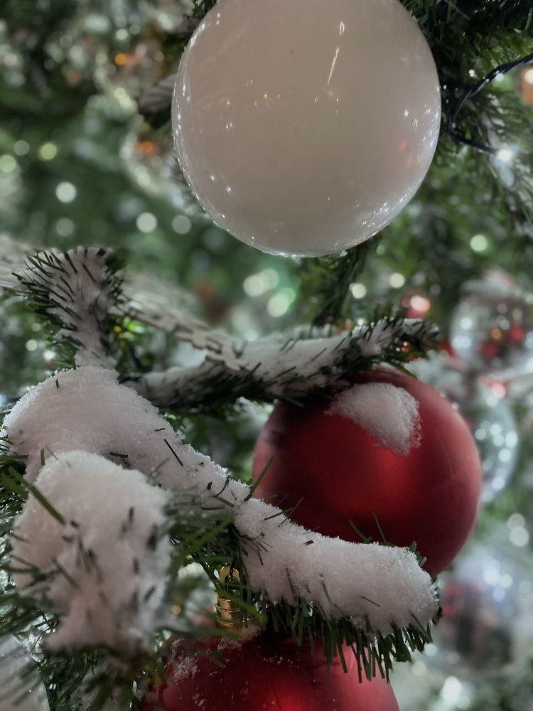 Photograph by Алиса Лукина