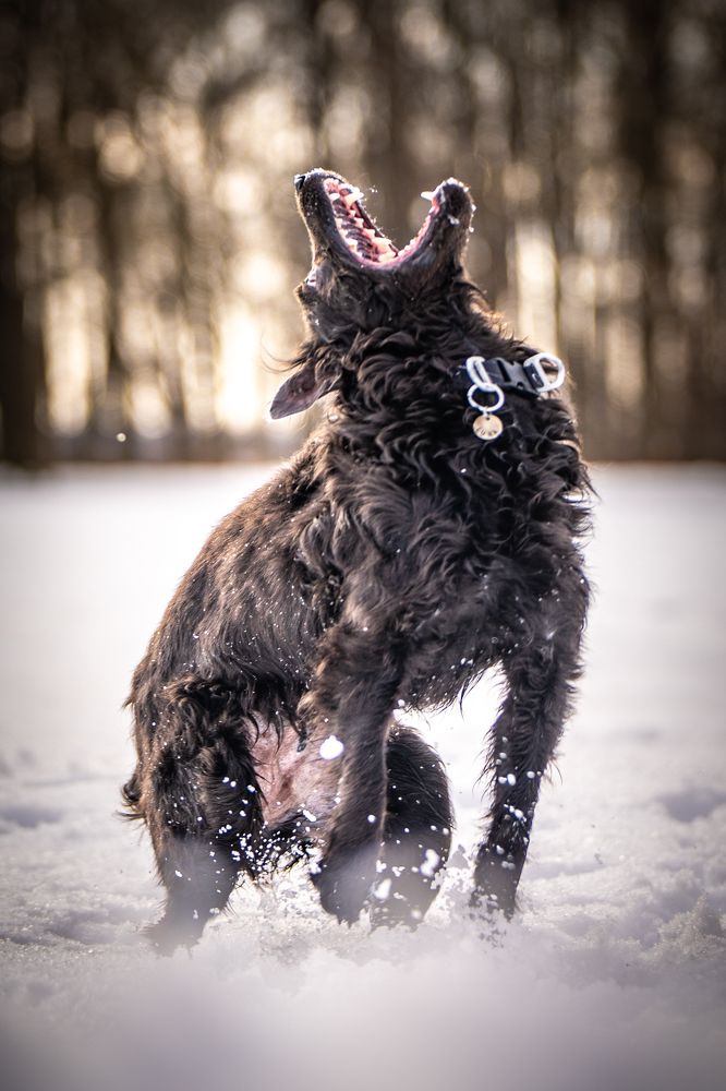 Photograph by Ольга Пачина