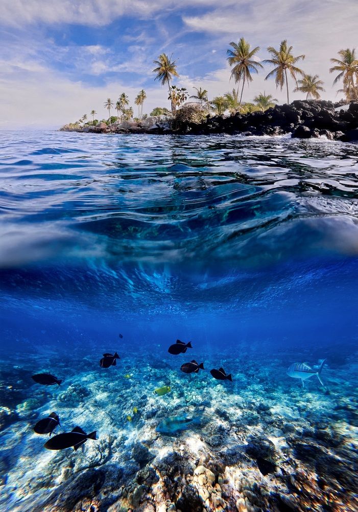 Photograph by Marina Poushkina