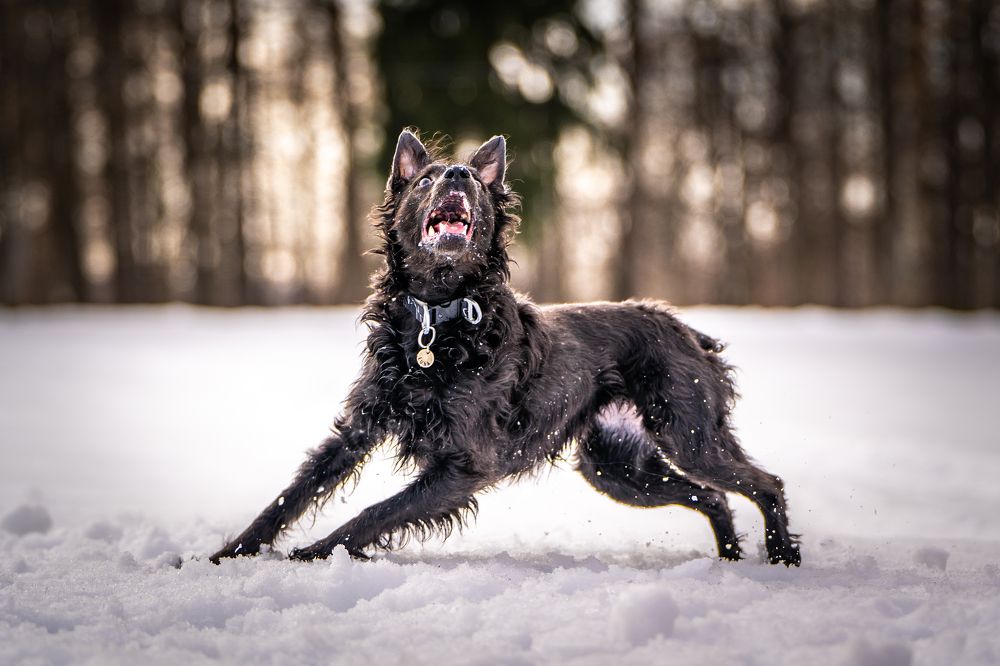 Photograph by Ольга Пачина