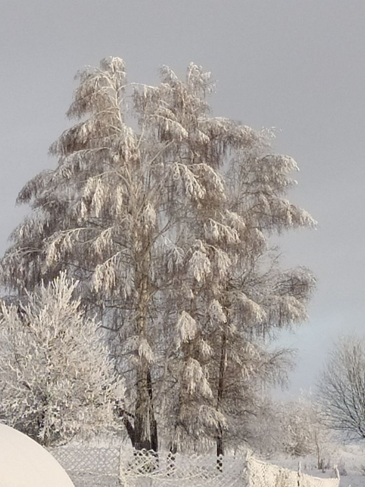 Photograph by Юрий Гордеев