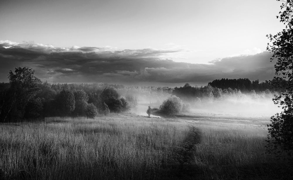 Фотография автора Олег Анатольевич Загорулько