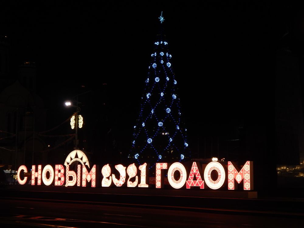 Елка в сетке.