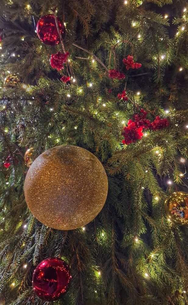 Photograph by Мария Андреева