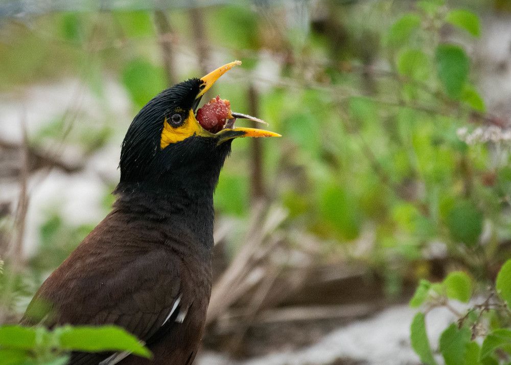 Photograph by Jeirin Anton