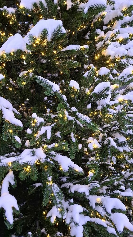 Photograph by Мария Андреева