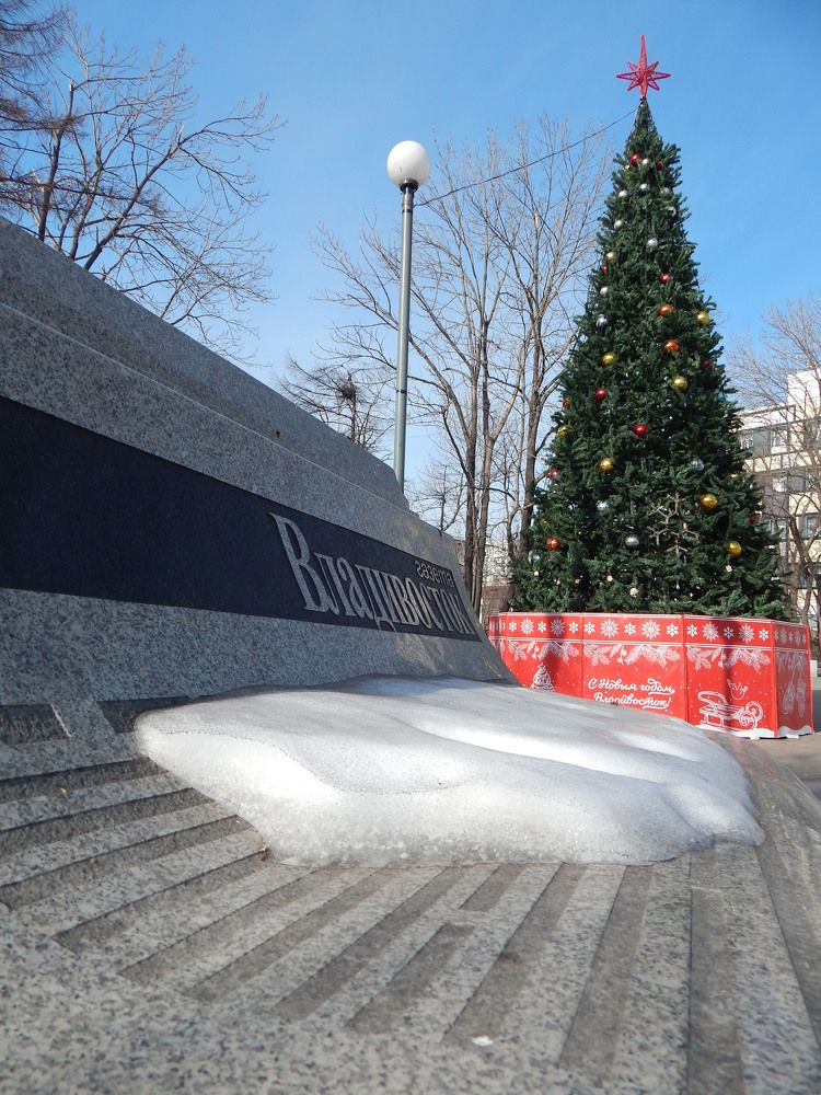 В сквере Суханова. Владивосток.