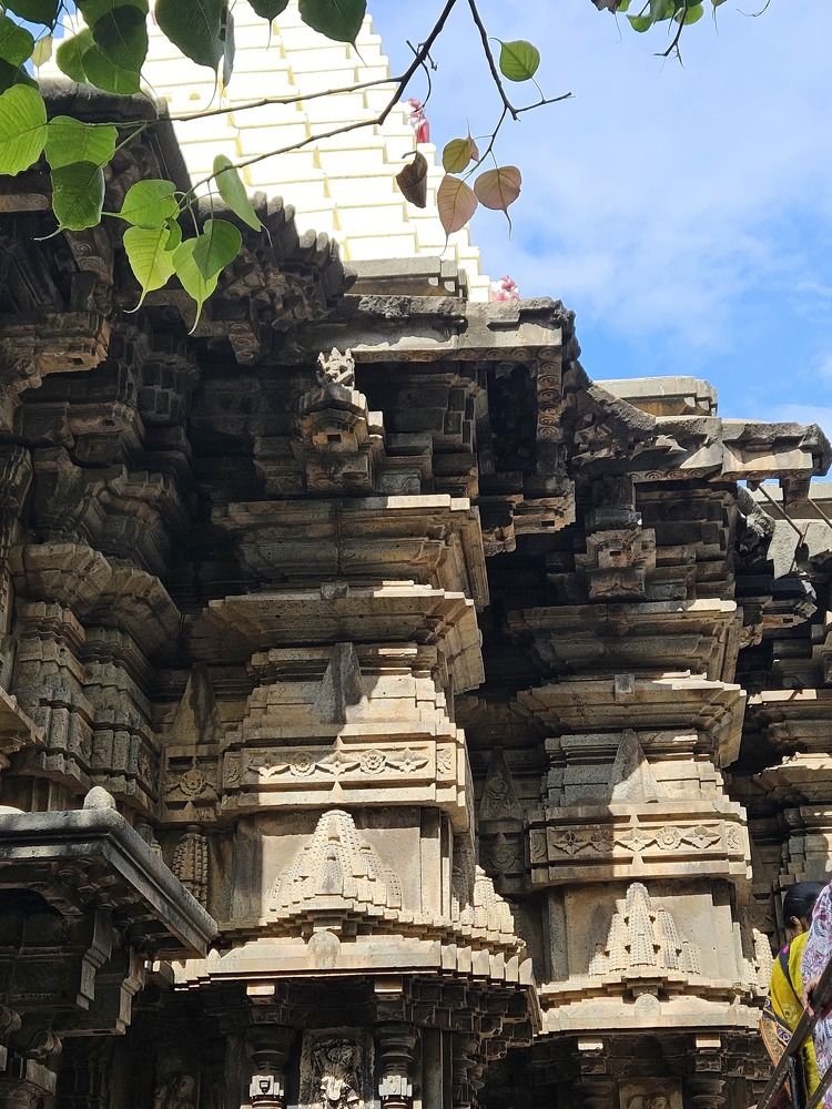 Photograph by Ashwitha Suvarna