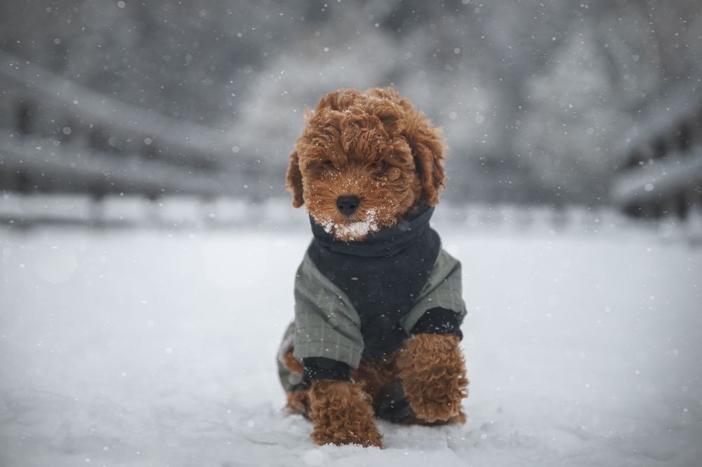 Photograph by Анастасия Жучкова