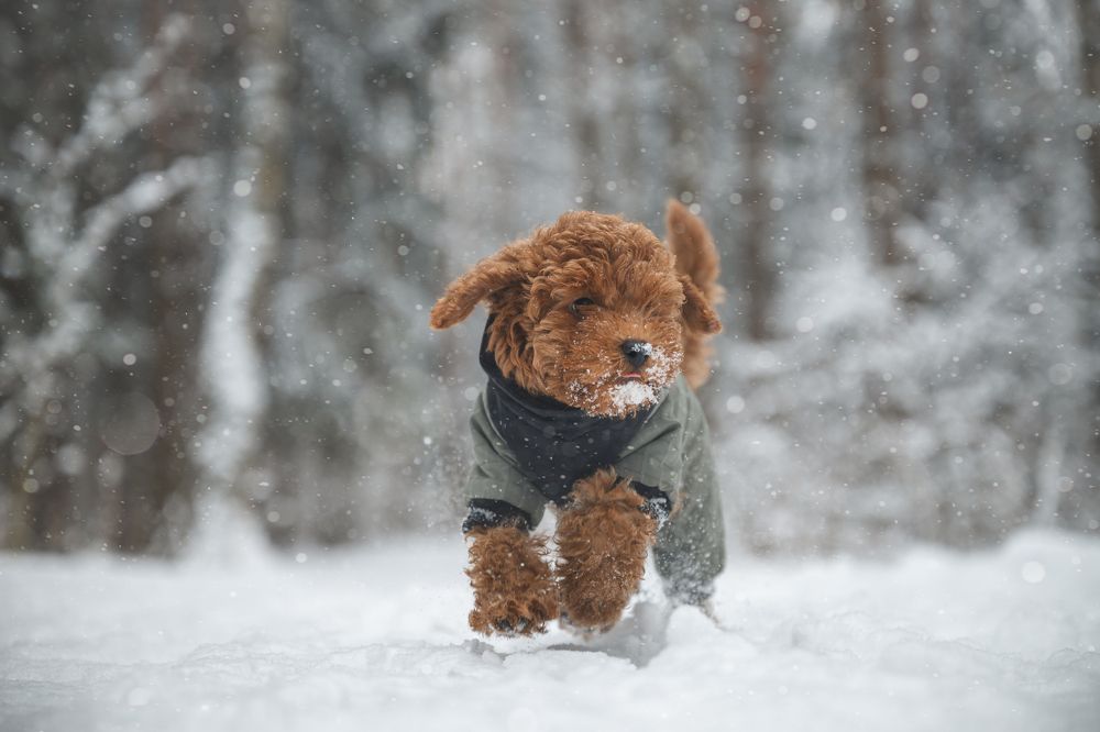 Photograph by Анастасия Жучкова