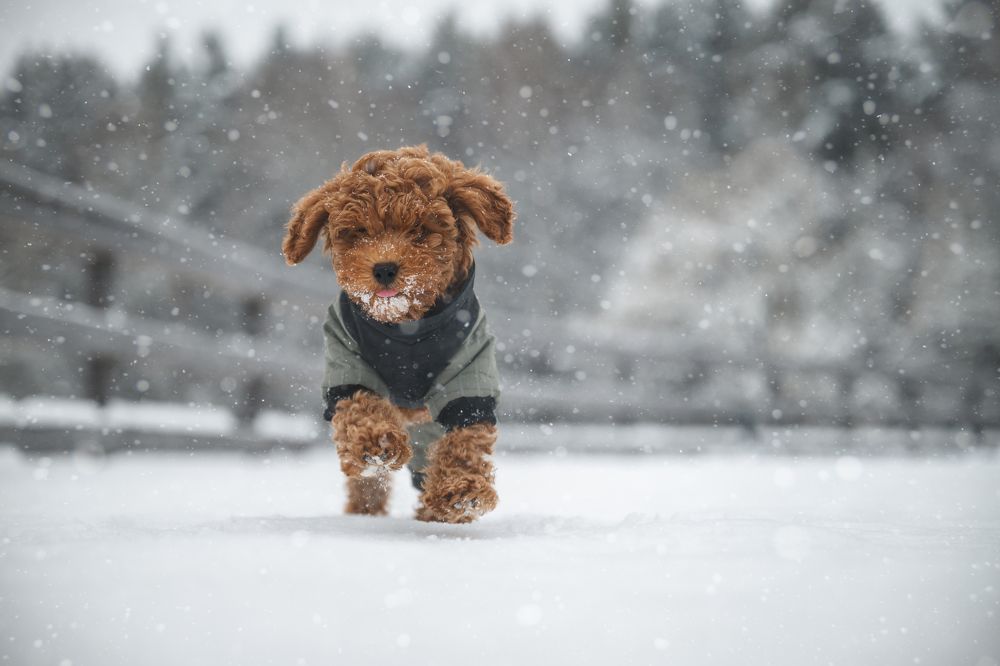 Photograph by Анастасия Жучкова