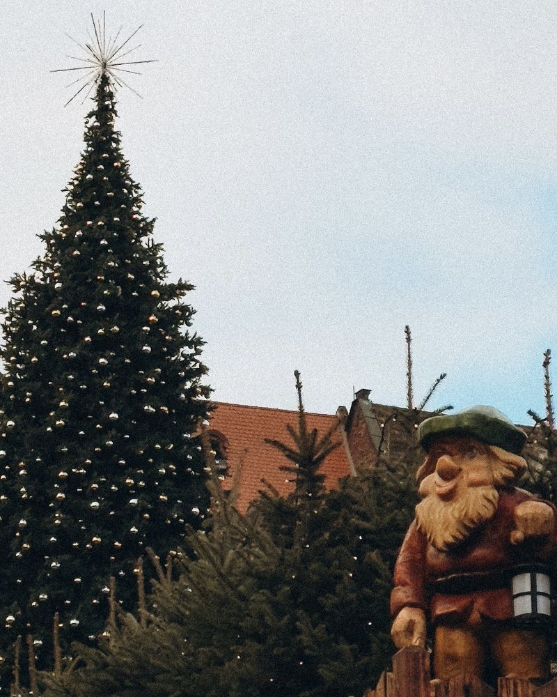 Photograph by Julia Mironenko