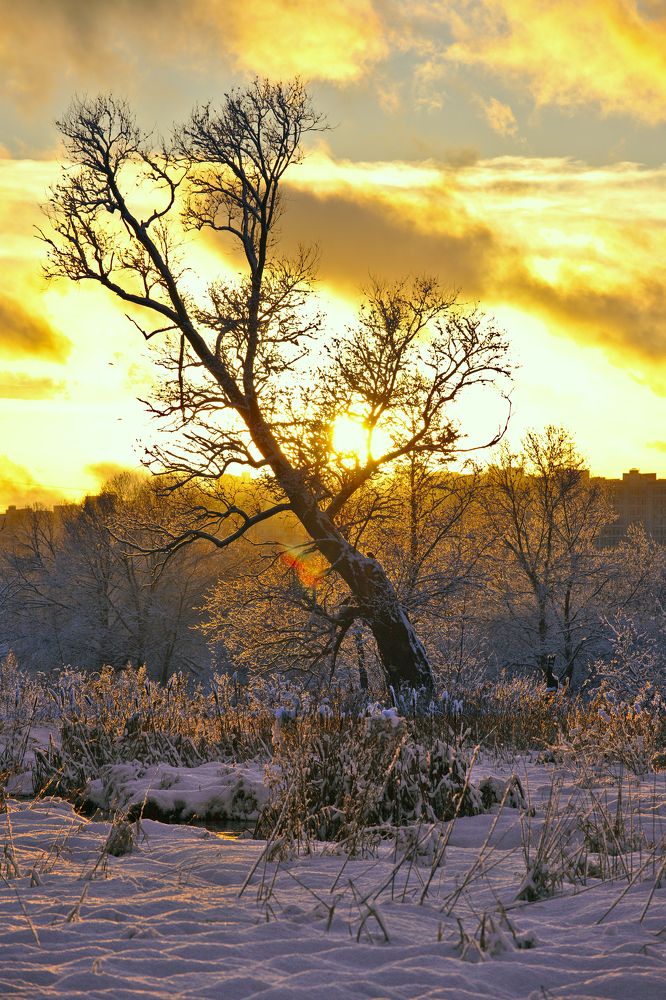 Photograph by Денис Прохоров