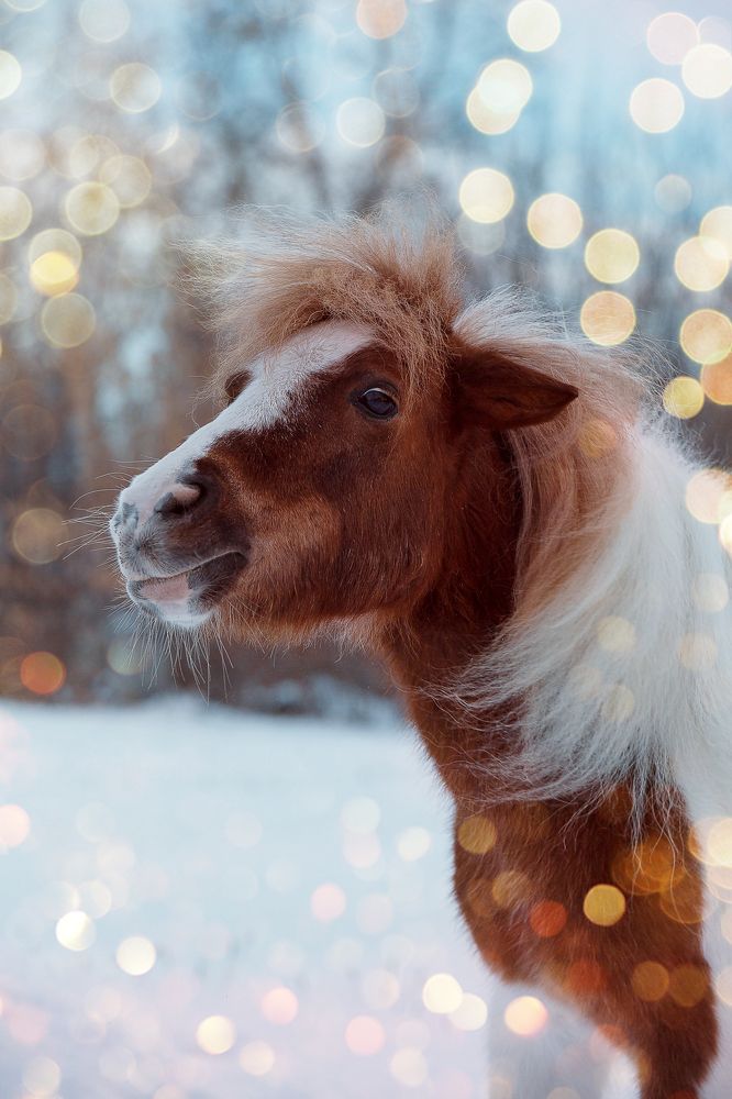 Photograph by Любовь Похабова