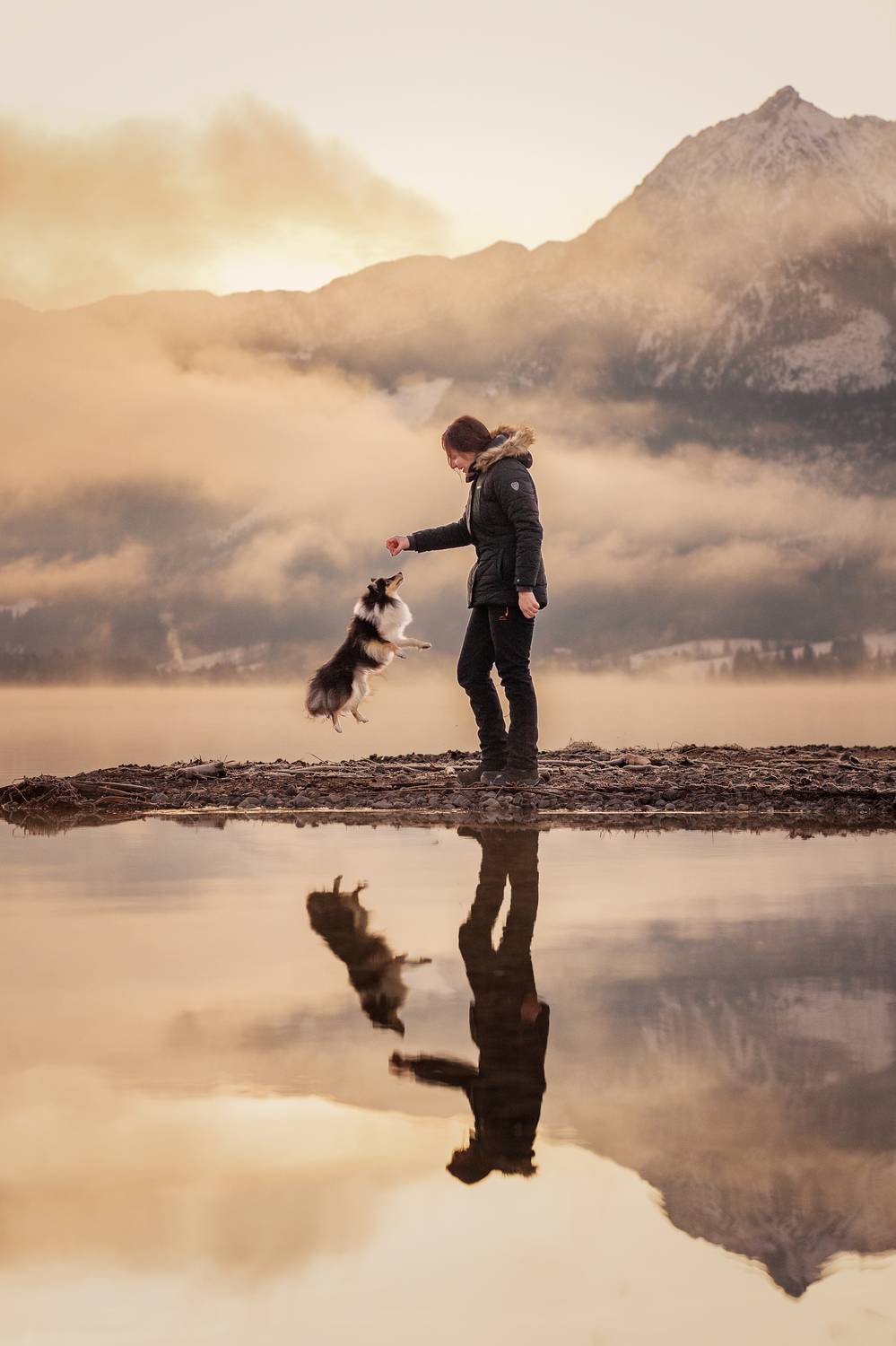 Фотография #11581085