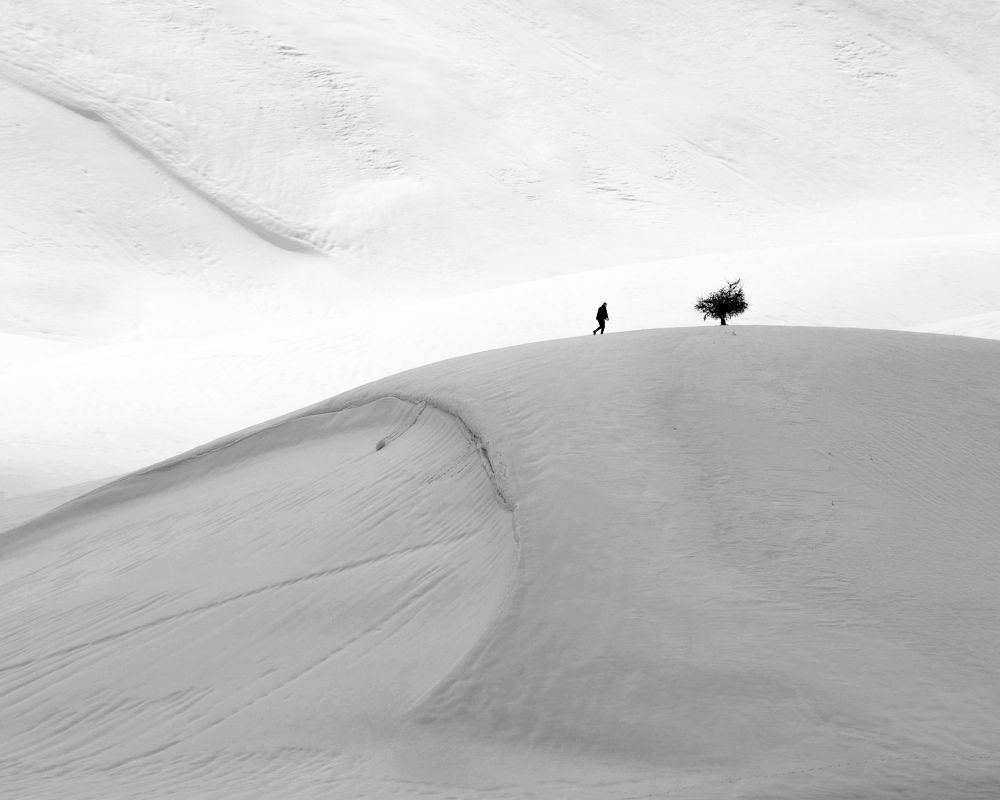 Фотография автора mohammad Alipour