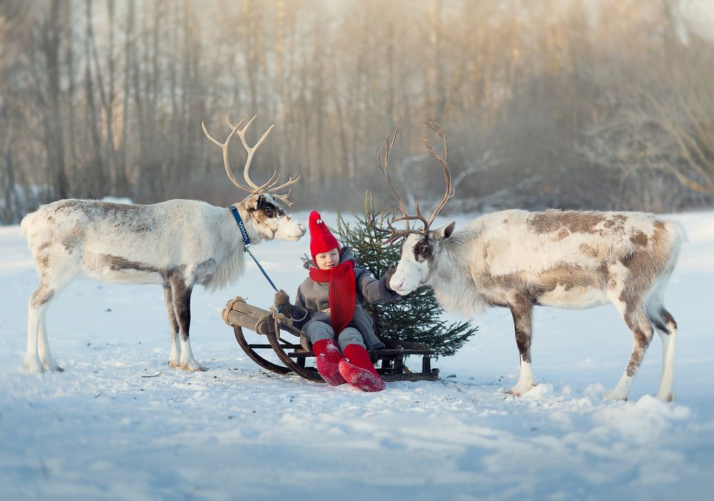 Photograph by Крикова Мария