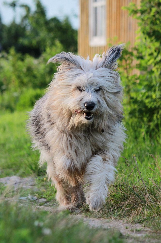 Photograph by Елена Сиднина