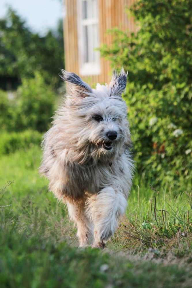 Photograph by Елена Сиднина