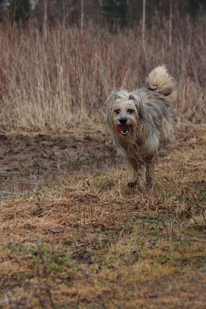 Photograph by Елена Сиднина