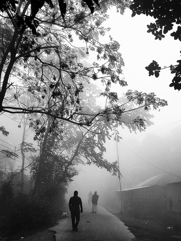 Winter morning in village