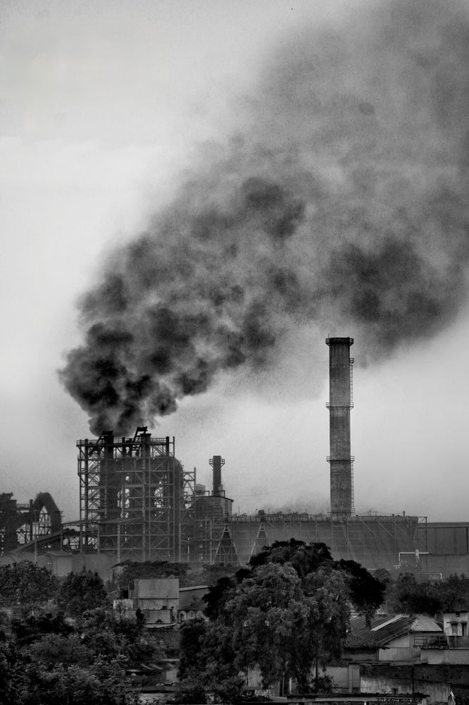 Photograph by M s Khatib