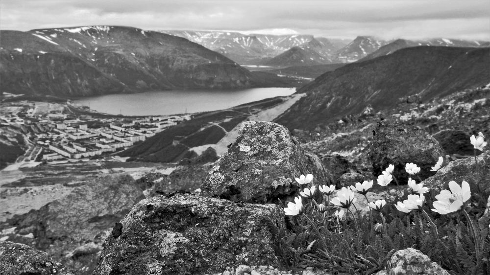 Лето в Хибинах.