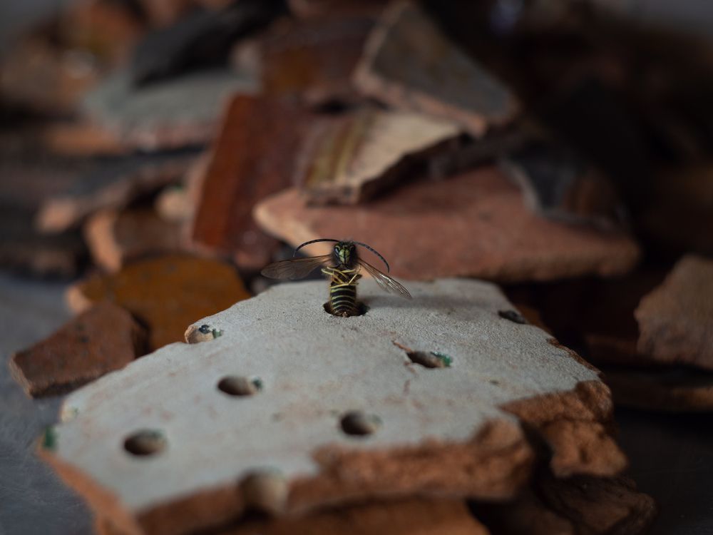 Photograph by Oleg F