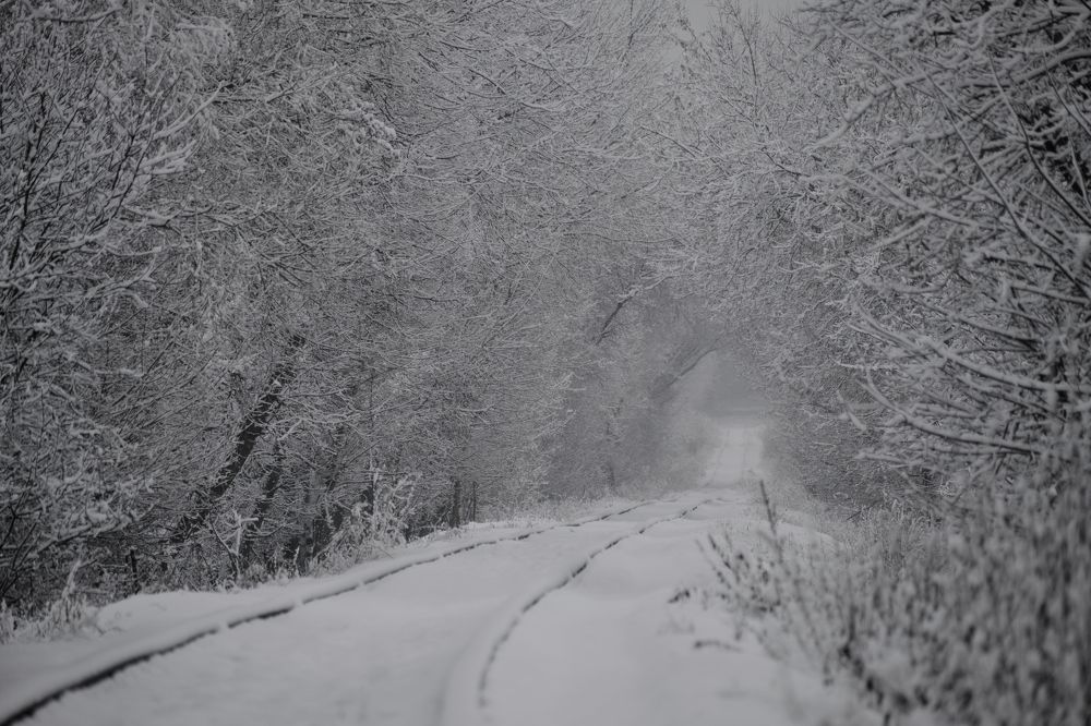 Photograph by Василий Арлашов