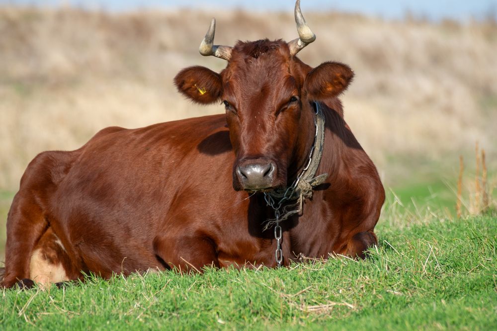 Photograph by Олег Алексеев