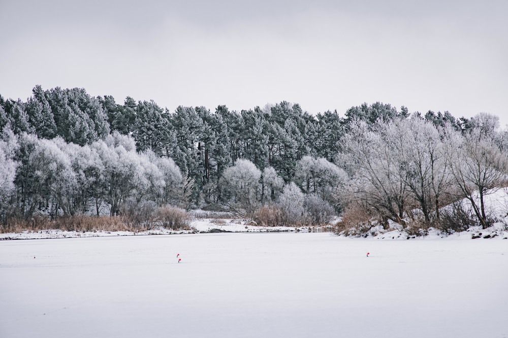 Photograph by Артем Афанасьев