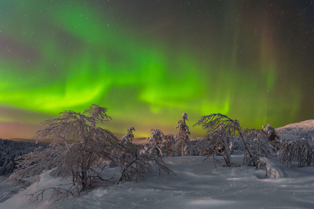 Фотография автора Mika Mgla