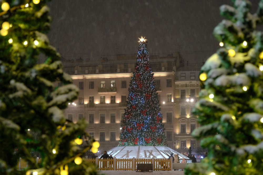 Photograph by Василий Арлашов