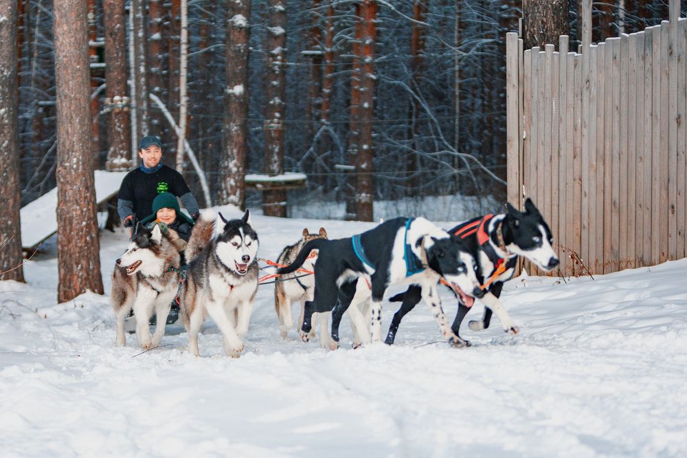 Photograph by Алексей Заикин