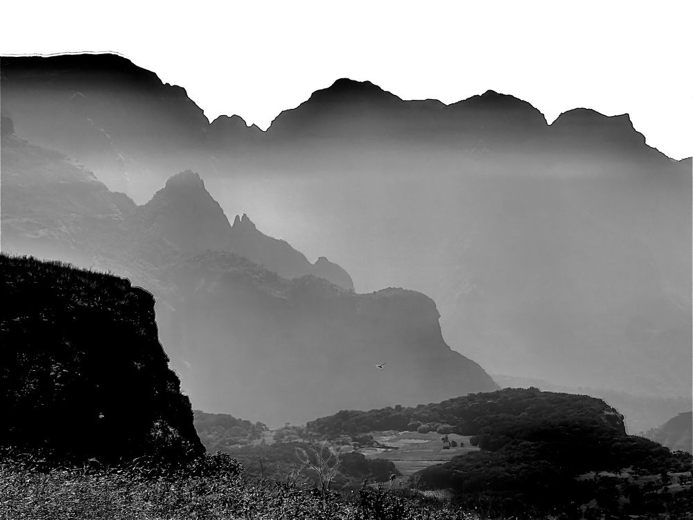 Photograph by Nitin Baste