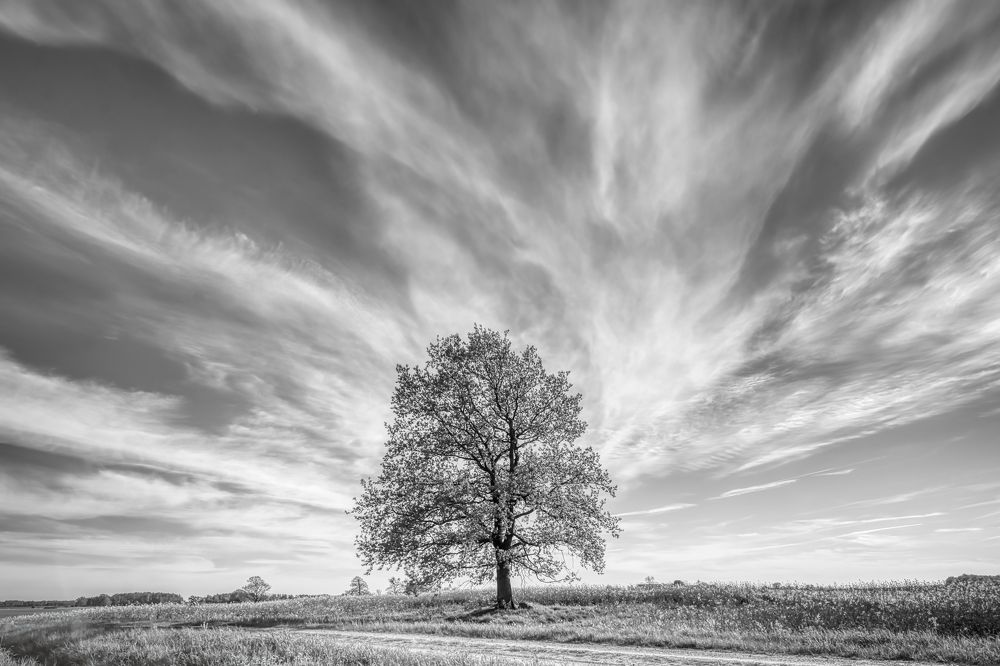 Photograph by Albina Kulikova