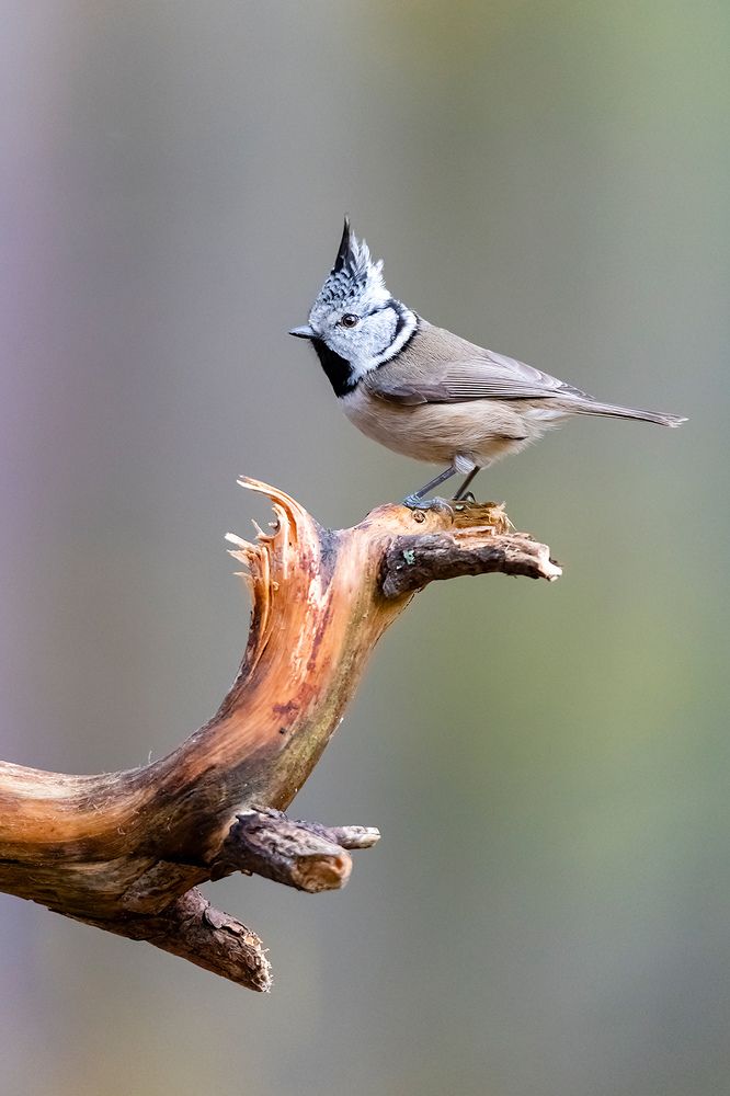 Photograph by Абросимов Александр