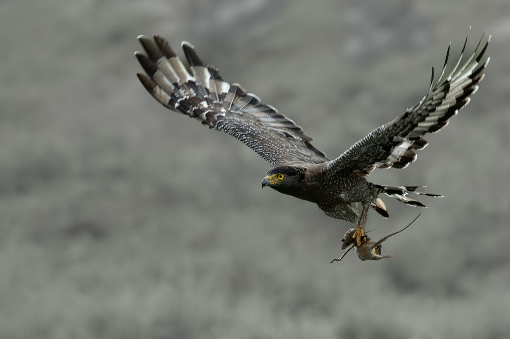 Photograph by Anton Jeirin