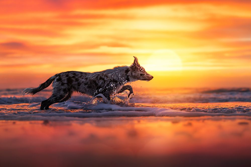 Photograph by Alessia Monaco